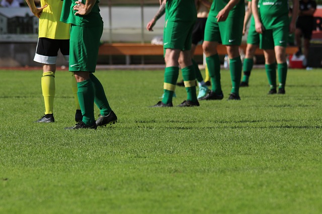 自己的努力 自己的努力