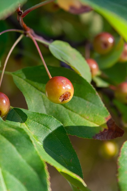 曼联豪掷 曼联豪掷