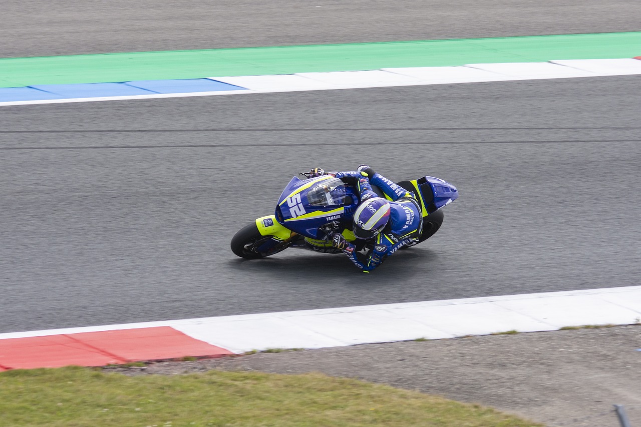 国家政策的 国家政策的