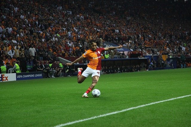 斯佩里尼的 斯佩里尼的