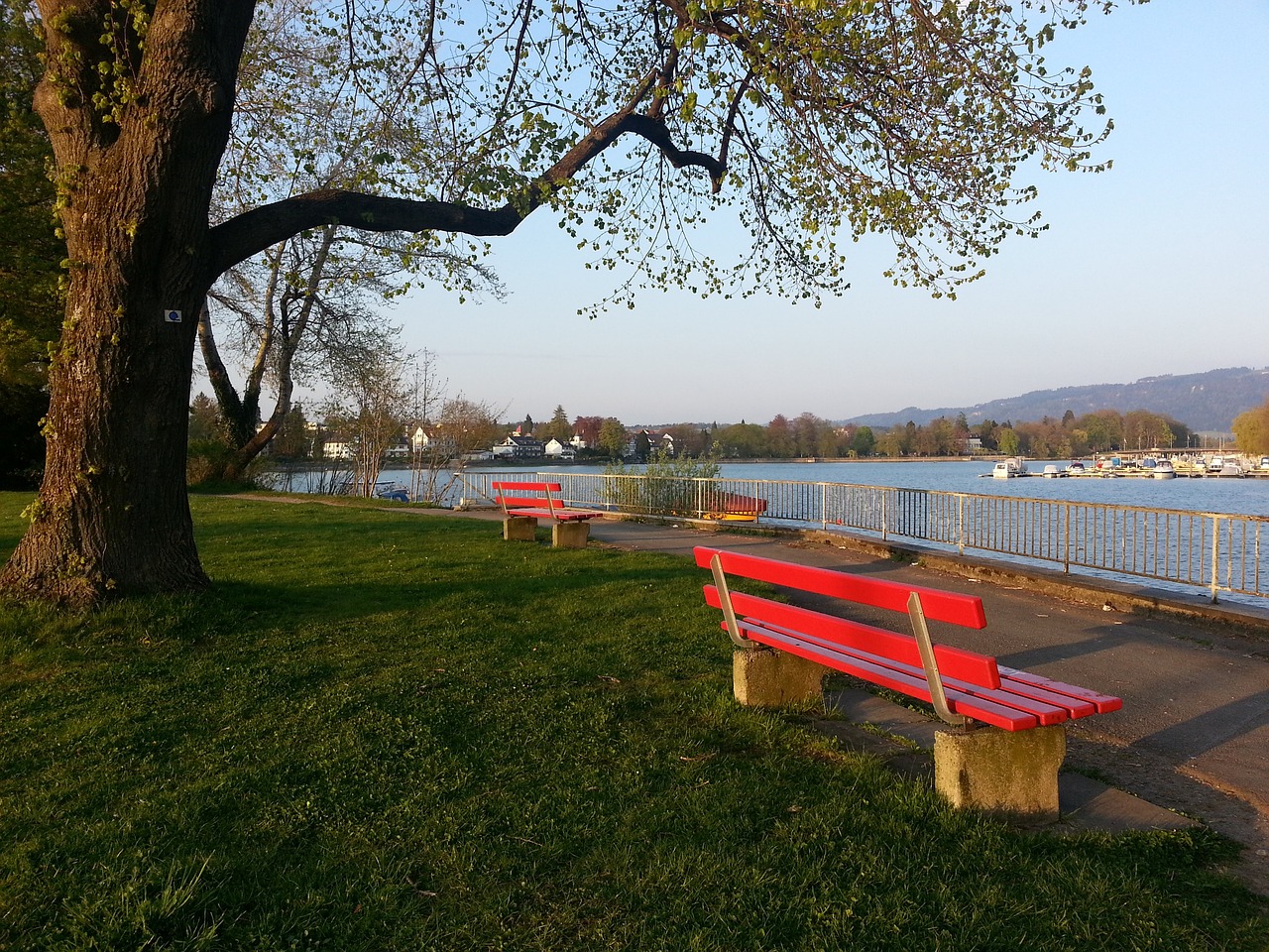 展望未来 展望未来