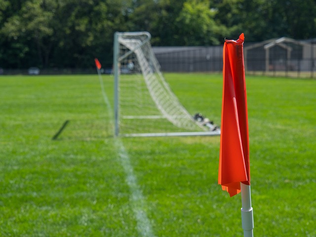 以确保球员 以确保球员