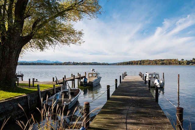 胜的主要因 胜的主要因